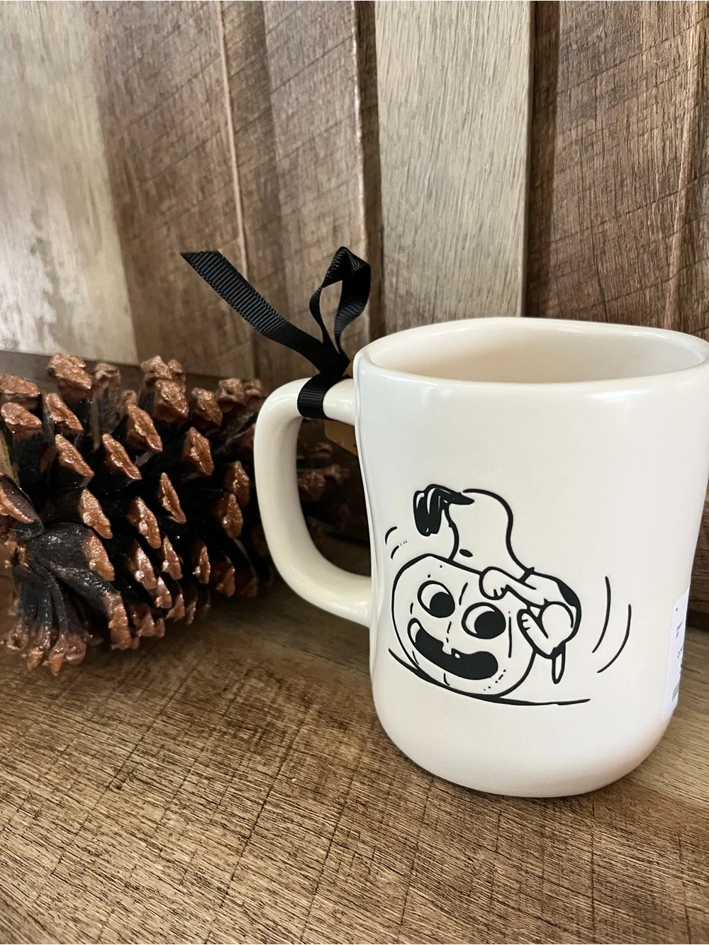 NWT Rae Dunn x Peanuts 